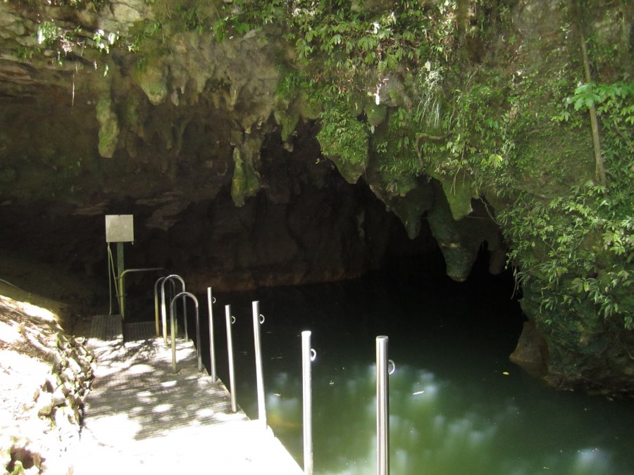 Вход в пещеру светлячков Вайтомо
